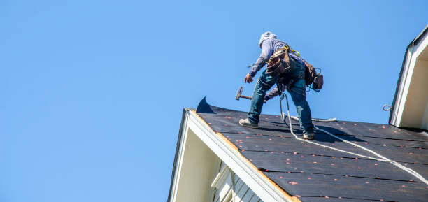 Best Roof Gutter Cleaning  in Prosper, TX